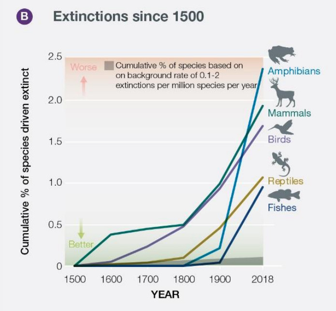 Những sinh vật sắp tuyệt chủng trong thập niên 2020 sẽ ảnh hưởng tới chính sự sinh tồn của loài người - Ảnh 2.