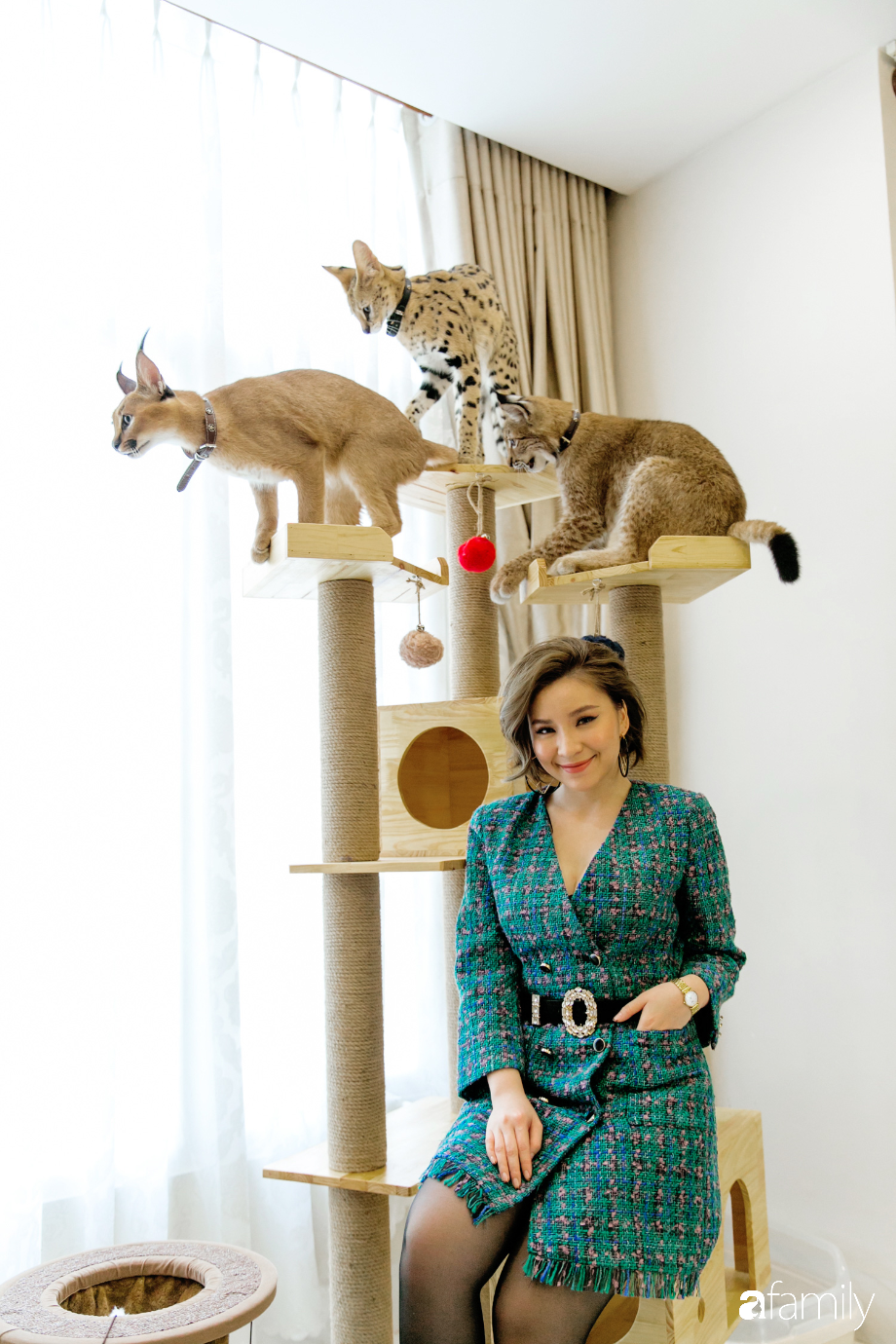 Trang Hà - Cô gái mang những chú mèo trị giá hàng tỷ đồng về Việt Nam và tiết lộ trào lưu nuôi thú cưng mới của giới đại gia và siêu giàu tại Sài Gòn - Ảnh 6.