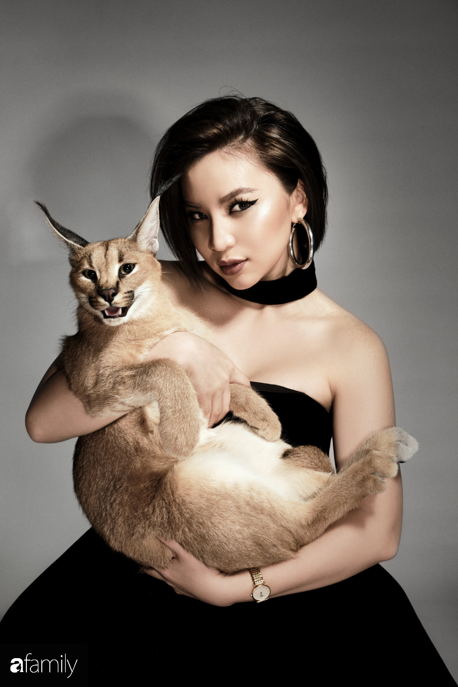Trang Hà - Cô gái mang những chú mèo trị giá hàng tỷ đồng về Việt Nam và tiết lộ trào lưu nuôi thú cưng mới của giới đại gia và siêu giàu tại Sài Gòn - Ảnh 10.