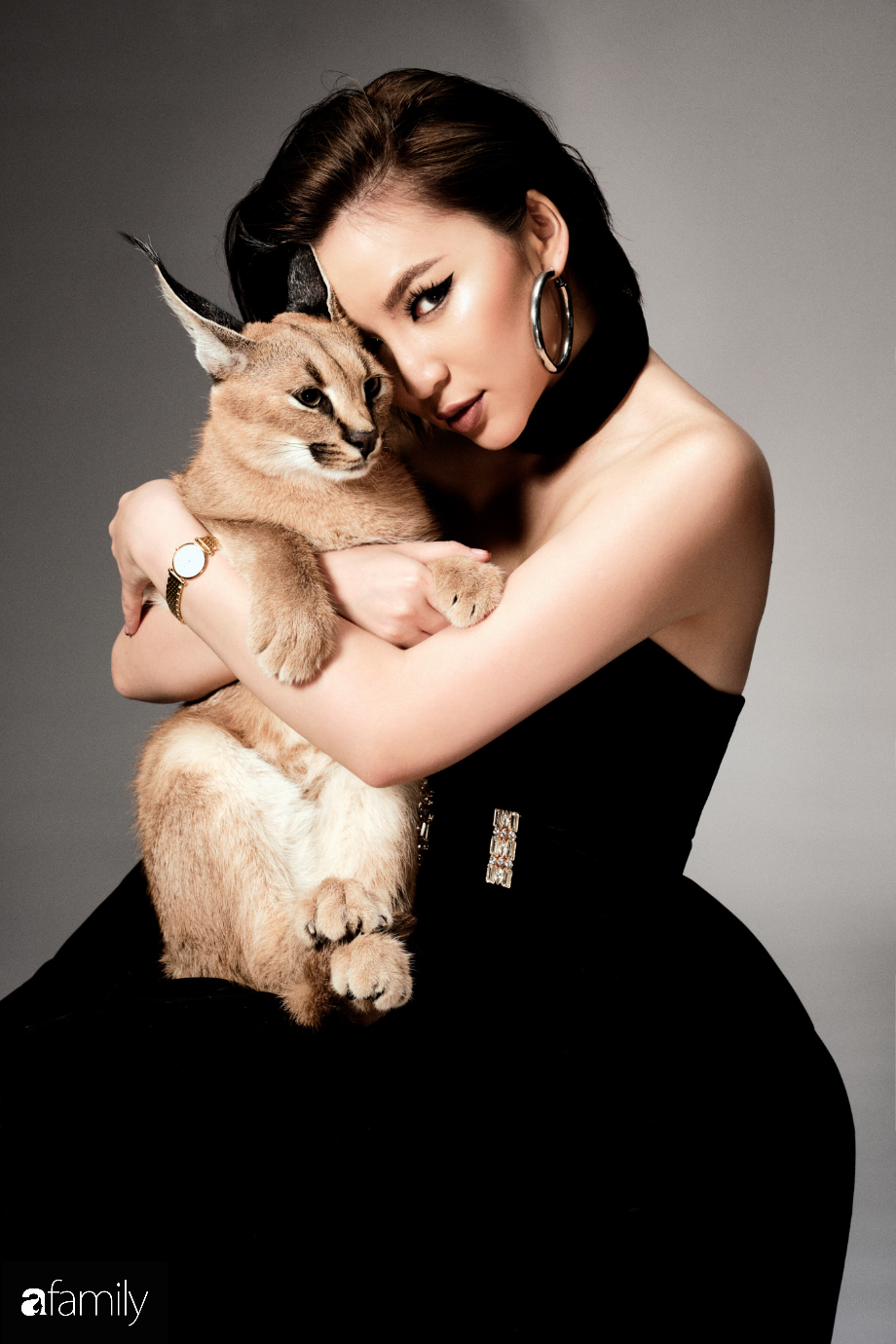 Trang Hà - Cô gái mang những chú mèo trị giá hàng tỷ đồng về Việt Nam và tiết lộ trào lưu nuôi thú cưng mới của giới đại gia và siêu giàu tại Sài Gòn - Ảnh 11.