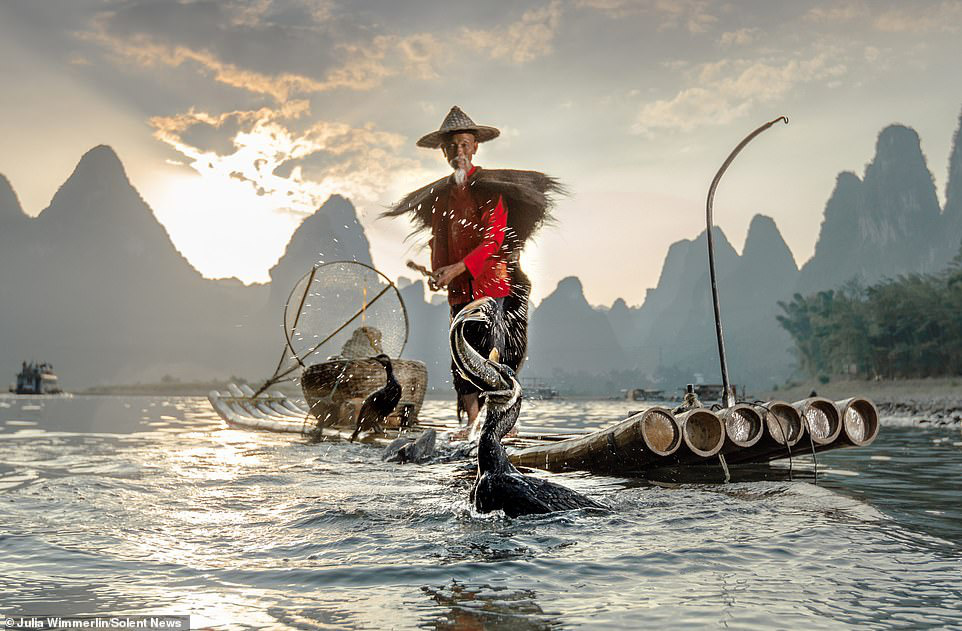 Image hình ảnh hình ảnh hình ảnh hình ảnh hình ảnh hình ảnh hình ảnh hình ảnh hình ảnh hình ảnh Ông Bằng - Loạt hình ảnh lão ngư bắt cá bằng chim cốc độc đáo khó rời mắt ...