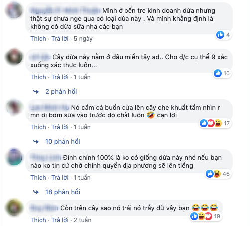 Kỳ lạ “dừa sữa độc lạ nhất miền Tây” đang khiến dân mạng tranh cãi kịch liệt: Là có thật hay lại chiêu trò câu view? - Ảnh 6.