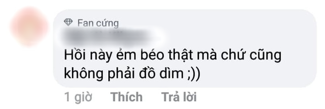 Trông có vẻ Tần Lam nhưng lại là Lý Lan Địch, tạo hình Diên Hi Công Lược bản nhái bị netizen chê tơi tả - Ảnh 13.