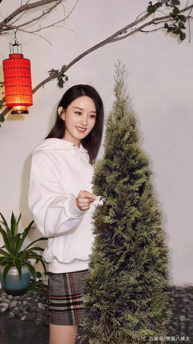 Phũ như fan Triệu Lệ Dĩnh: Photoshop cắt Phùng Thiệu Phong thay bằng cây thông Noel, Cnet lo lắng lời nguyền chia tay - Ảnh 3.