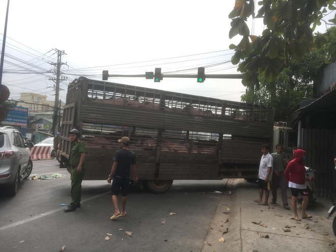  Xe tải chở 50 con heo tông vào nhà dân, giao thông kẹt cứng 2km - Ảnh 2.