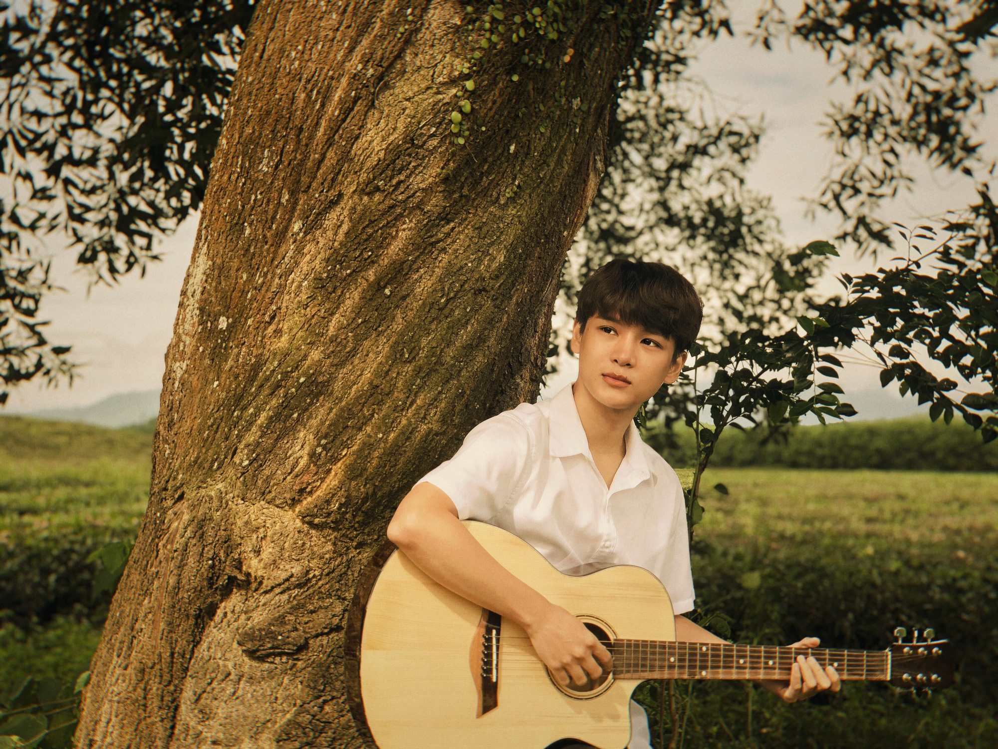 Ngạn hát nhạc phim Mắt Biếc da diết đến thế này, Hà Lan không đổ nhưng khán giả thì muốn tan nát con tim - Ảnh 3. Ngạn hát nhạc phim Mắt Biếc da diết đến thế này, Hà Lan không đổ nhưng khán giả thì muốn tan nát con tim - Ảnh 3.