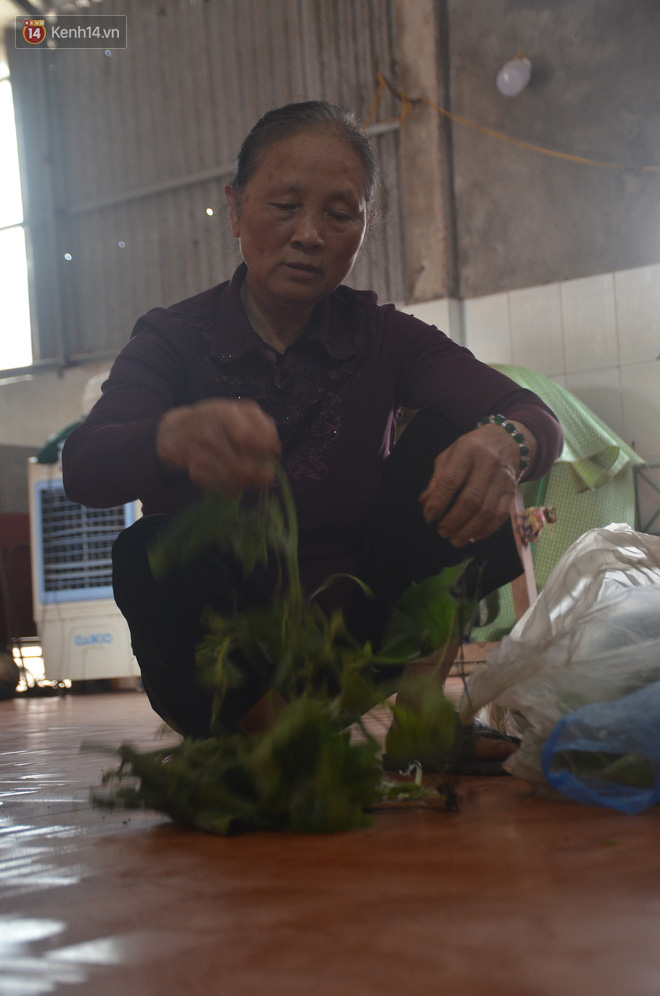 Về xã “trường thọ” Hà Nam để nghe những câu chuyện tình của các cụ 100 tuổi, hằng ngày vẫn đi bộ cả cây số - Ảnh 4.