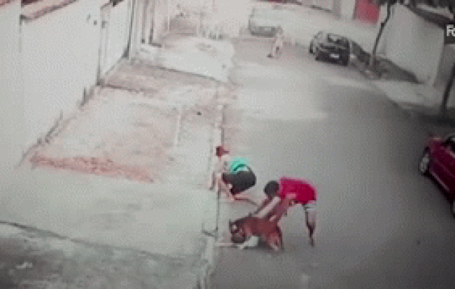  Gi&acirc;y ph&uacute;t đứng tim khi người đ&agrave;n &ocirc;ng tay kh&ocirc;ng cứu b&eacute; trai khỏi ch&oacute; dữ v&agrave; h&agrave;nh động g&acirc;y phẫn nộ của bảo mẫu chứng kiến sự việc  - Ảnh 1.