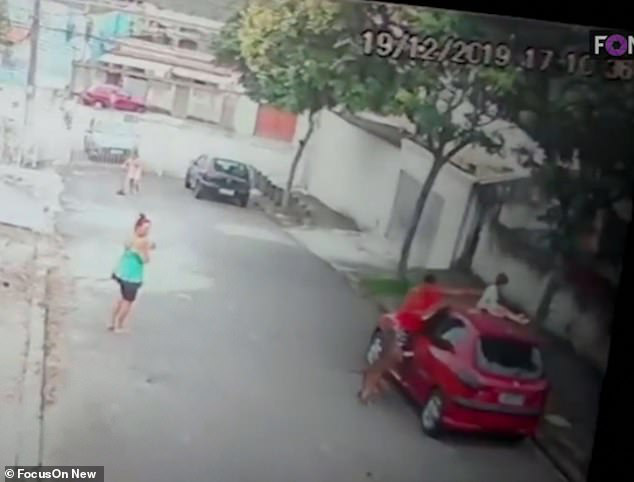  Gi&acirc;y ph&uacute;t đứng tim khi người đ&agrave;n &ocirc;ng tay kh&ocirc;ng cứu b&eacute; trai khỏi ch&oacute; dữ v&agrave; h&agrave;nh động g&acirc;y phẫn nộ của bảo mẫu chứng kiến sự việc  - Ảnh 3.