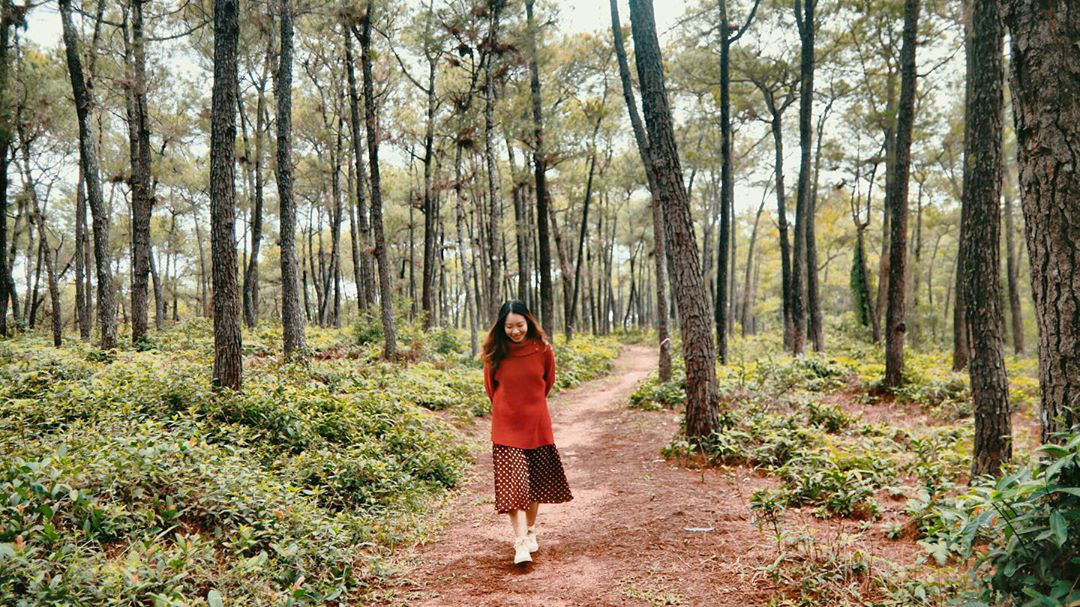 2 ngọn đồi đẹp nhất xứ Huế nơi diễn ra loạt cảnh quay lãng mạn trong “Mắt Biếc”, hoá ra lâu nay chúng ta đều nhầm lẫn - Ảnh 6. 2 ngọn đồi đẹp nhất xứ Huế nơi diễn ra loạt cảnh quay lãng mạn trong “Mắt Biếc”, hoá ra lâu nay chúng ta đều nhầm lẫn - Ảnh 6.