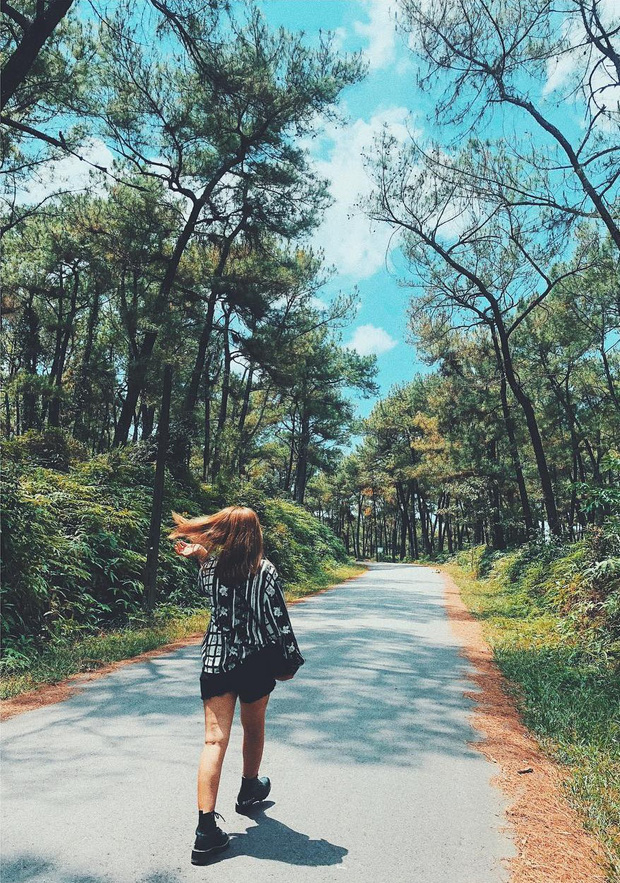 2 ngọn đồi đẹp nhất xứ Huế nơi diễn ra loạt cảnh quay lãng mạn trong “Mắt Biếc”, hoá ra lâu nay chúng ta đều nhầm lẫn - Ảnh 4. 2 ngọn đồi đẹp nhất xứ Huế nơi diễn ra loạt cảnh quay lãng mạn trong “Mắt Biếc”, hoá ra lâu nay chúng ta đều nhầm lẫn - Ảnh 4.