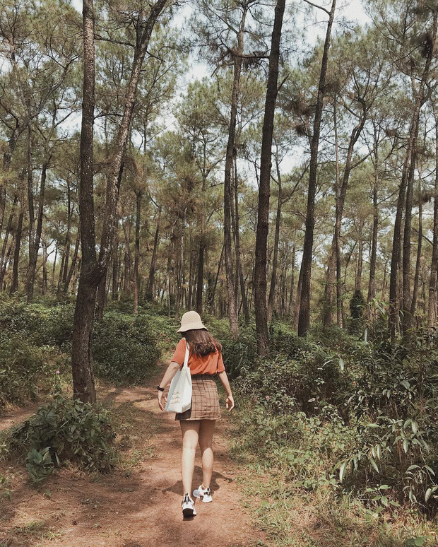 2 ngọn đồi đẹp nhất xứ Huế nơi diễn ra loạt cảnh quay lãng mạn trong “Mắt Biếc”, hoá ra lâu nay chúng ta đều nhầm lẫn - Ảnh 5. 2 ngọn đồi đẹp nhất xứ Huế nơi diễn ra loạt cảnh quay lãng mạn trong “Mắt Biếc”, hoá ra lâu nay chúng ta đều nhầm lẫn - Ảnh 5.