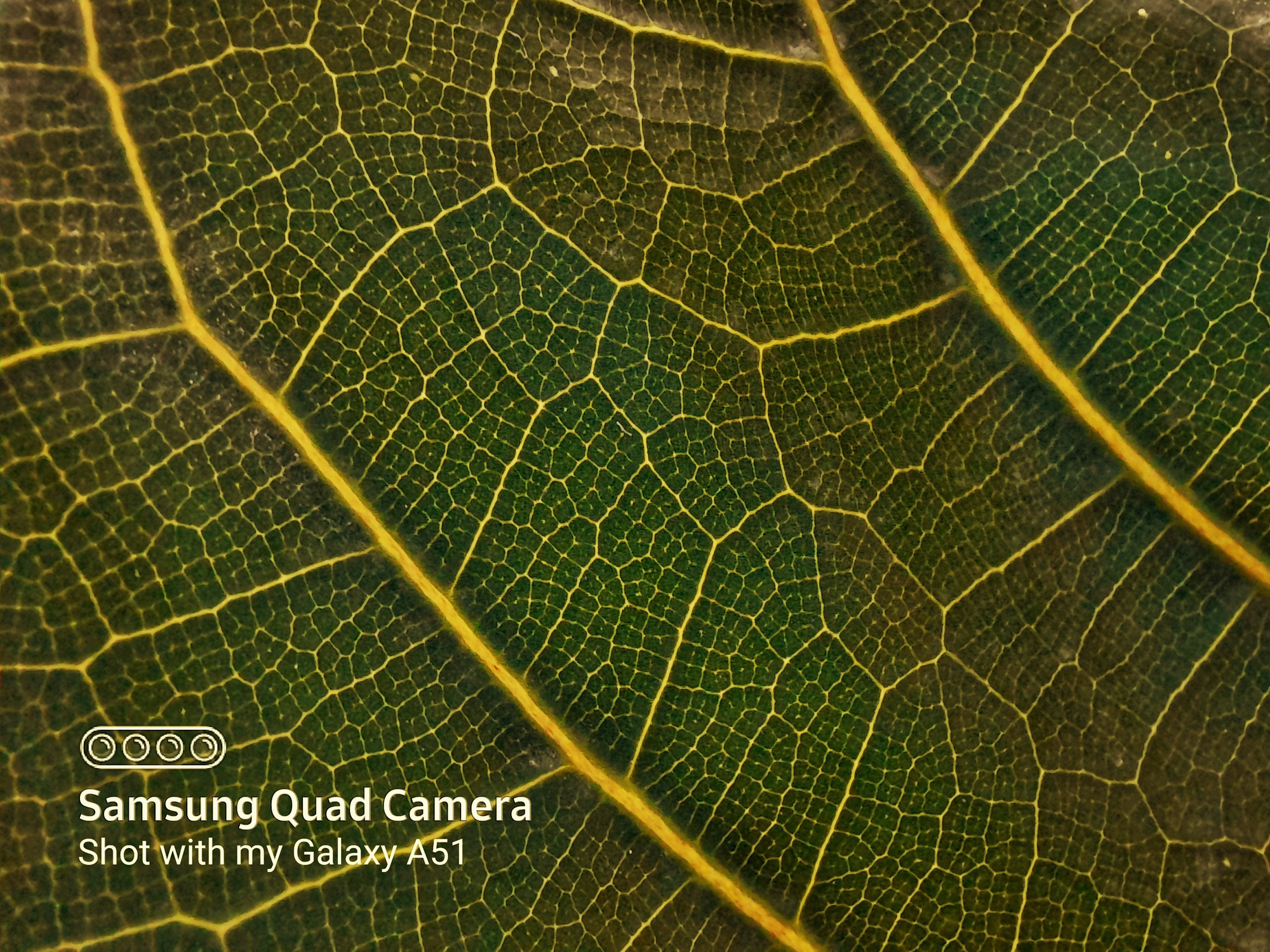 Camera chụp si&ecirc;u cận đang l&agrave; trend mới đấy, nhưng d&ugrave;ng n&oacute; chụp g&igrave; cho ngầu b&acirc;y giờ? - Ảnh 9.