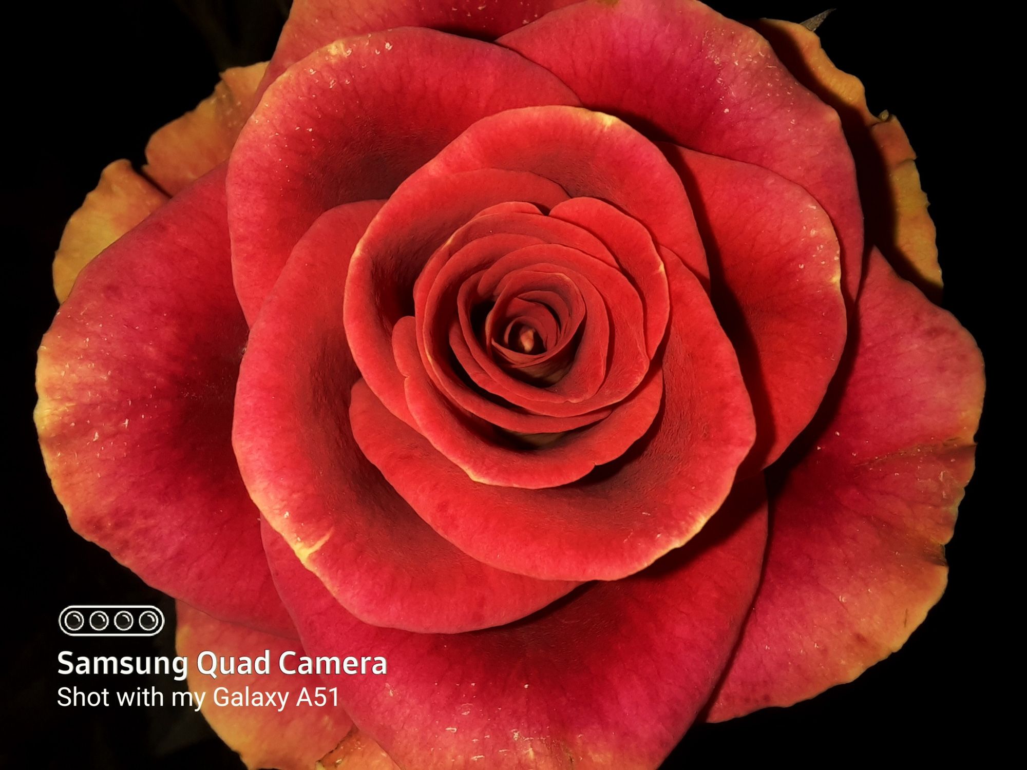 Camera chụp si&ecirc;u cận đang l&agrave; trend mới đấy, nhưng d&ugrave;ng n&oacute; chụp g&igrave; cho ngầu b&acirc;y giờ? - Ảnh 6.