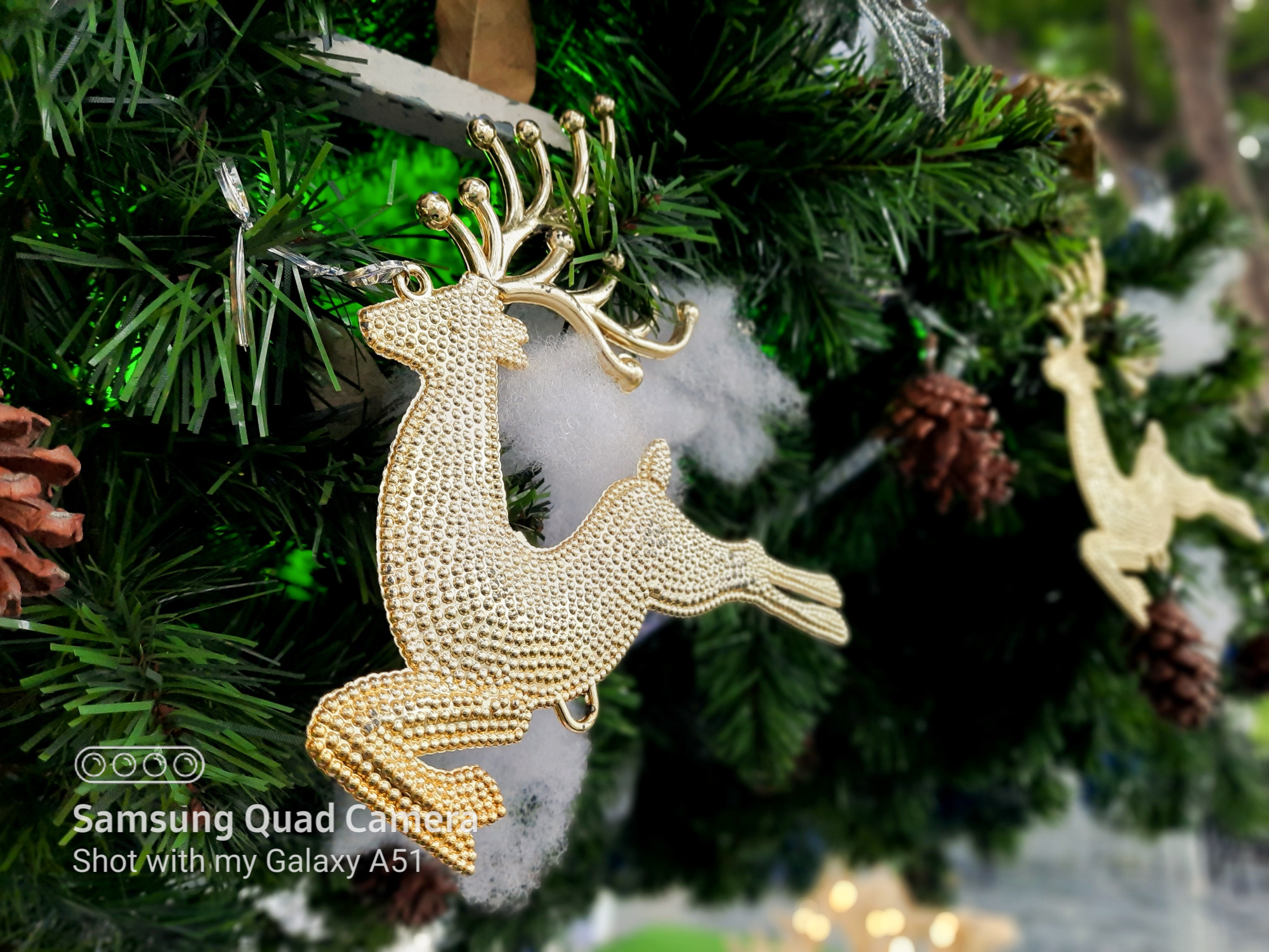 Camera chụp si&ecirc;u cận đang l&agrave; trend mới đấy, nhưng d&ugrave;ng n&oacute; chụp g&igrave; cho ngầu b&acirc;y giờ? - Ảnh 4.