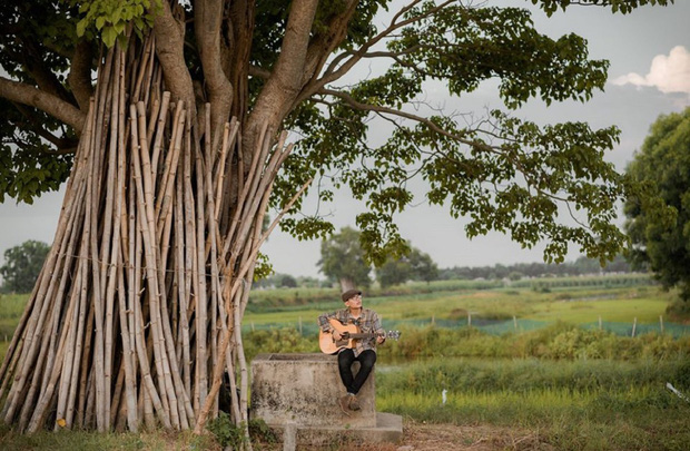 3 cây cô đơn đình đám đang gây bão mạng dịp cuối năm, hoá ra lại chẳng hề “cô đơn” vì luôn có hội sống ảo kề bên! - Ảnh 9.