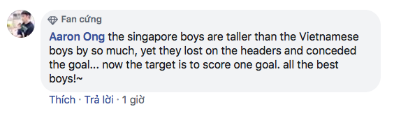 Fan Singapore thi nhau nói kháy trên page của Liên đoàn bóng đá dù đội nhà cầm hòa Việt Nam hơn 80 phút: Trận cuối thắng Brunei 1-0 rồi chúng ta ăn mừng như vô địch World Cup nhé - Ảnh 6.