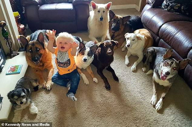Bà chị sở hữu siêu năng lực: Bắt 17 chú chó, mèo nhà mình ngồi im một chỗ với nhau để chụp ảnh - Ảnh 2.