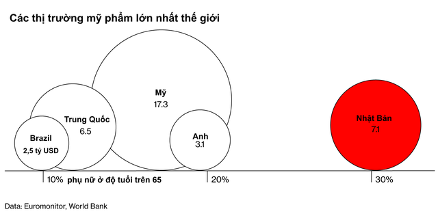  Dân số già được coi là cơn ác mộng của nhiều quốc gia, nhưng lại là mỏ vàng cho một ngành công nghiệp hàng chục tỷ USD!  - Ảnh 1.