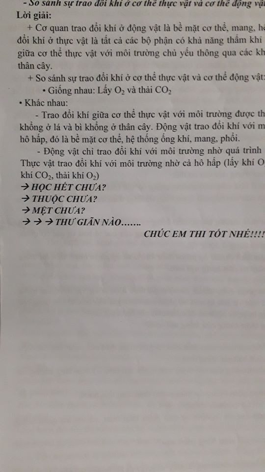 Đang làm bài kiểm tra đọc được lời nhắn nhủ của thầy giáo, học sinh chưa kịp vui thì chưng hửng vì pha troll cực mạnh  - Ảnh 2.