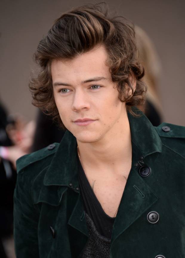 Sau khi gây sốc vì xăm hình Harry Styles lên mặt, nữ ca sĩ tiết lộ sự thật khiến dân tình chưng hửng - Ảnh 2.