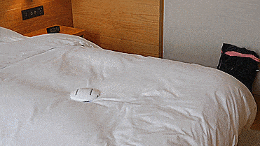 Du Xuân Kỷ Hợi mà có con robot diệt khuẩn cute vô đối, tự dọn sạch ẩm mốc trên giường nệm thế này thì còn gì bằng? - Ảnh 2.