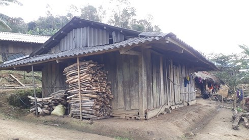 Dị nh&acirc;n bỏ v&agrave;o rừng, một m&igrave;nh mở 2,5km đường để cai ma t&uacute;y - Ảnh 3.