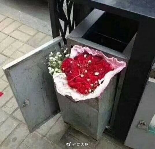 Ảnh buồn: Đến thùng rác còn có hoa vào ngày Valentine còn đội ế thì không - Ảnh 3.