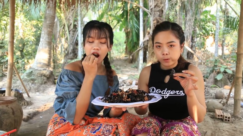 Hai cô gái Campuchia bình thản chế biến rồi thưởng thức nhện độc khiến dân tình khiếp đảm - Ảnh 7.
