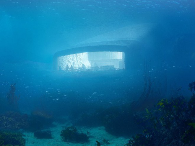 Bên trong nhà hàng dưới nước lớn nhất thế giới, nơi thực khách ngắm sinh vật biển đang bơi trong khi thưởng thức hải sản - Ảnh 1.