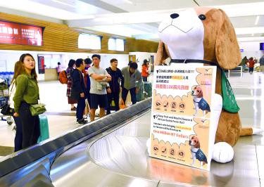 Đài Loan kiểm tra tất cả khách bay từ Việt Nam để ngăn ngừa virus dịch tả lợn, mức phạt có thể lên đến 150 triệu đồng - Ảnh 1.