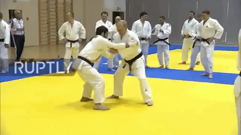 [VIDEO] Tổng thống Putin bị thương khi tập võ với nhà vô địch Judo - Ảnh 1.