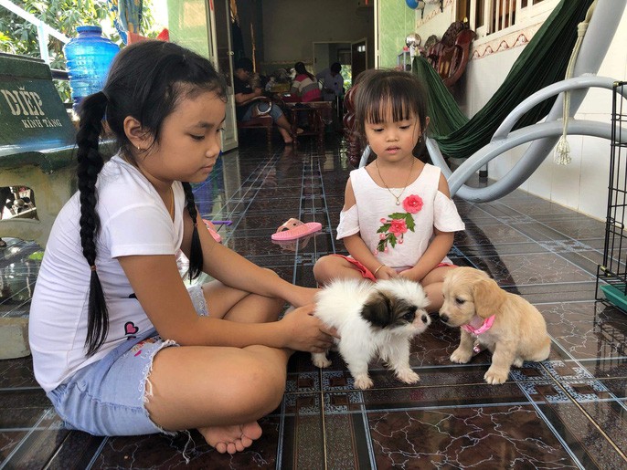 Nhiều người miền Tây mất ngủ vì chó cưng lăn ra chết hàng loạt - Ảnh 11. Nhiều người miền Tây mất ngủ vì chó cưng lăn ra chết hàng loạt - Ảnh 11.
