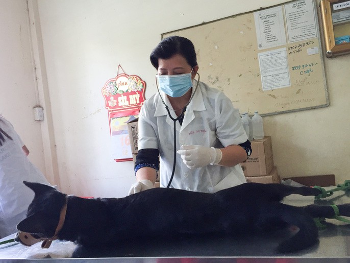 Nhiều người miền Tây mất ngủ vì chó cưng lăn ra chết hàng loạt - Ảnh 13. Nhiều người miền Tây mất ngủ vì chó cưng lăn ra chết hàng loạt - Ảnh 13.