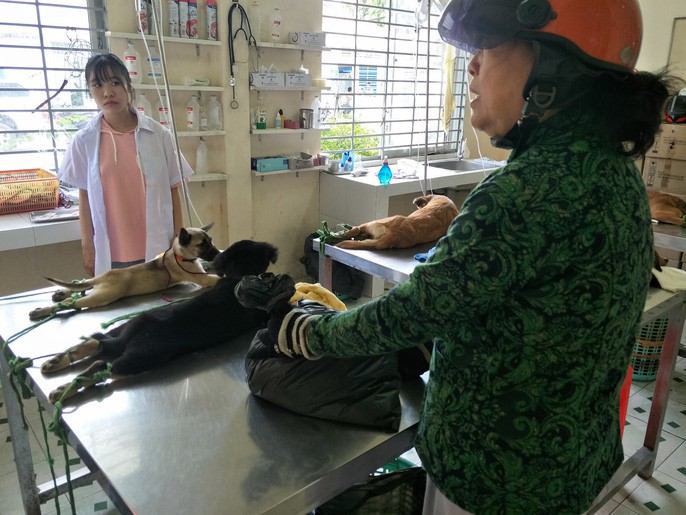 Nhiều người miền Tây mất ngủ vì chó cưng lăn ra chết hàng loạt - Ảnh 10. Nhiều người miền Tây mất ngủ vì chó cưng lăn ra chết hàng loạt - Ảnh 10.