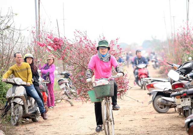 Nước mắt chực trào của nông dân Nhật Tân khi tự tay phá đào Tết - Ảnh 15.