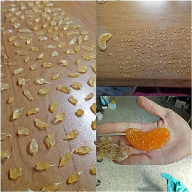 Những c&ocirc; n&agrave;ng rảnh nhất MXH: Đem m&igrave; t&ocirc;m đan khăn, b&oacute;c thanh long bỏ hạt, xếp vỏ hạt b&iacute; th&agrave;nh hoa - Ảnh 14.