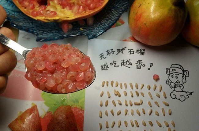 Những c&ocirc; n&agrave;ng rảnh nhất MXH: Đem m&igrave; t&ocirc;m đan khăn, b&oacute;c thanh long bỏ hạt, xếp vỏ hạt b&iacute; th&agrave;nh hoa - Ảnh 17.