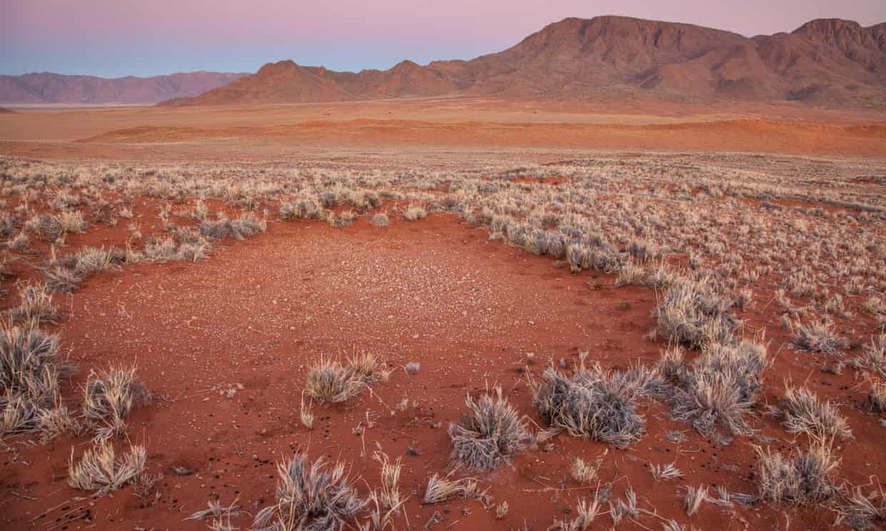 Những vòng tròn thần tiên đầy bí ẩn giữa sa mạc khiến khoa học đau đầu chuẩn bị có một lời giải mới - Ảnh 3.