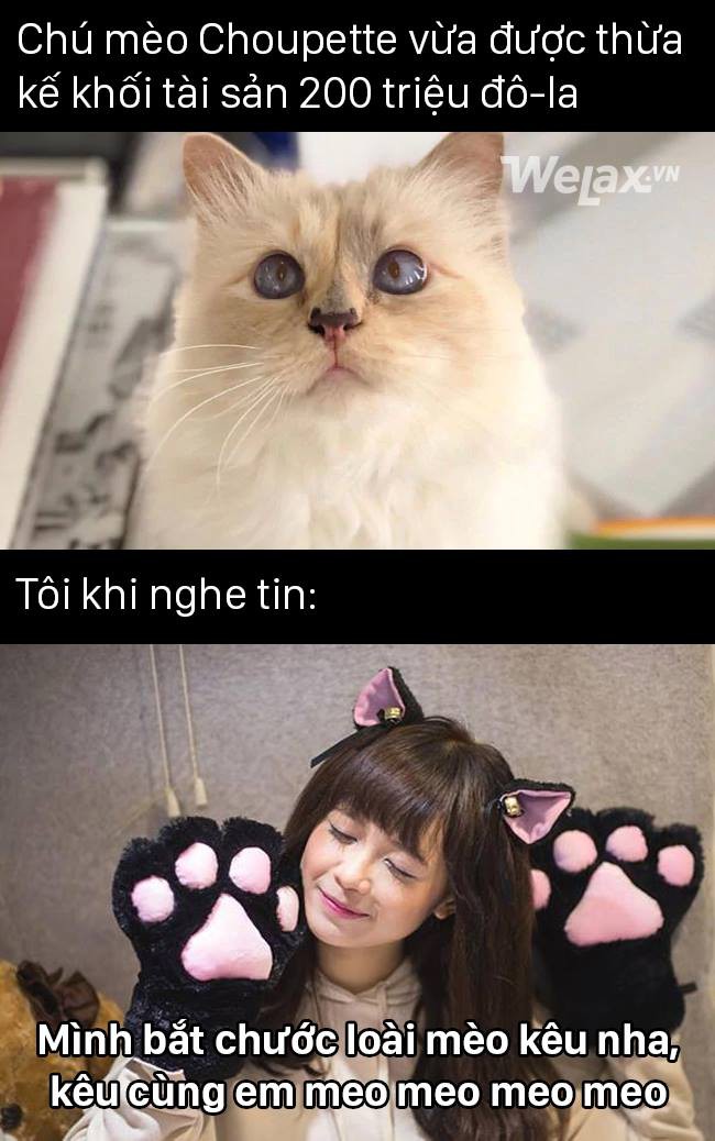 Hội kh&ocirc;ng biết l&agrave;m g&igrave; để c&oacute; nhiều tiền cảm thấy ch&oacute;ng hết cả mặt với loạt ph&aacute;t ng&ocirc;n về tiền bạc suốt 1 tuần qua - Ảnh 4.