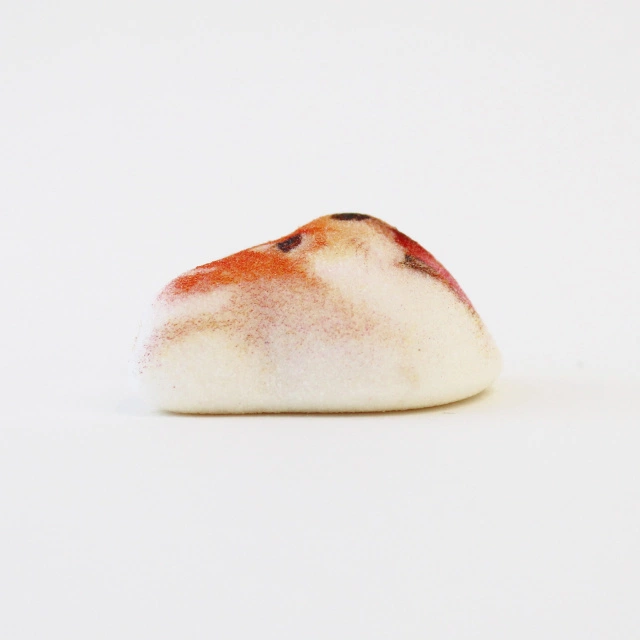 Đội quân kẹo dẻo mặt chó Shiba gây sốt thị trường Nhật, dễ thương quá chỉ ngắm chứ không ăn! - Ảnh 4.