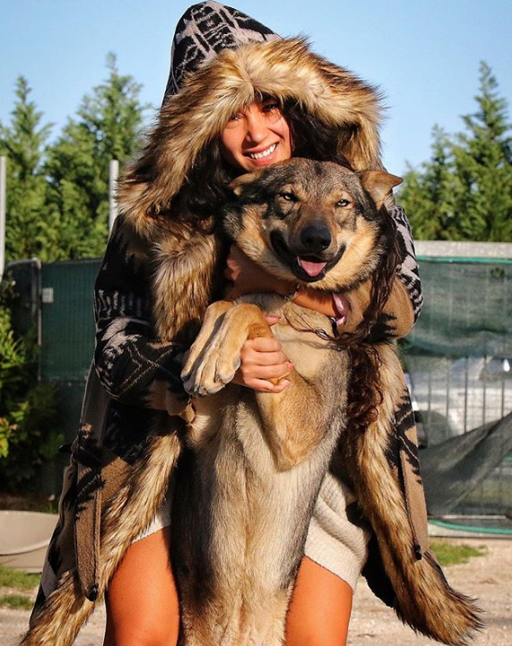 Chùm ảnh: 15 điều cần biết nếu bạn muốn nuôi một chú chó-lai-sói siêu đáng yêu trong nhà - Ảnh 4.