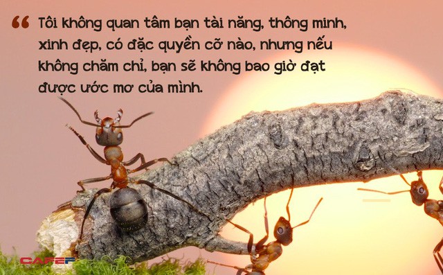 Nhìn lại 365 ngày đã qua, dù có thất bại cũng hãy tin rằng, còn trẻ thì còn vấp ngã, hãy bao dung với chính mình một chút nhưng nhất định phải làm ngay việc này thôi!  - Ảnh 1.