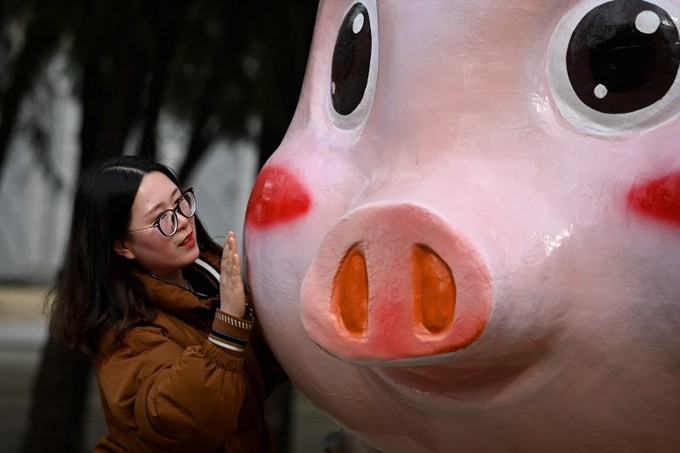 Linh vật lợn khắp thế giới vẫy chào năm Kỷ Hợi 2019: Vừa đáng yêu lại hài hước miễn chê - Ảnh 2.