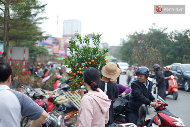 Nỗi niềm của những người chở Tết đi khắp phố phường: “Không bán hết chỗ đào này, tôi chẳng dám về quê ăn Tết” - Ảnh 1.