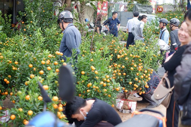 Nỗi niềm của những người chở Tết đi khắp phố phường: “Không bán hết chỗ đào này, tôi chẳng dám về quê ăn Tết” - Ảnh 3.