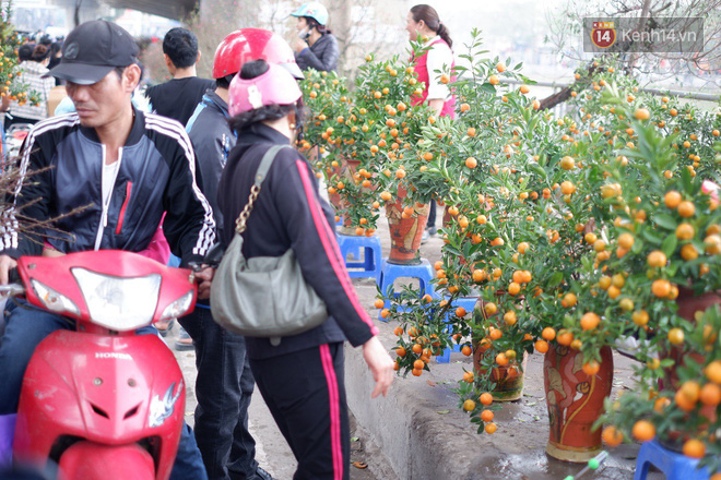 Nỗi niềm của những người chở Tết đi khắp phố phường: “Không bán hết chỗ đào này, tôi chẳng dám về quê ăn Tết” - Ảnh 10.