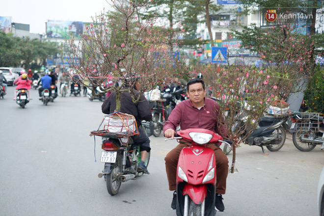 Nỗi niềm của những người chở Tết đi khắp phố phường: “Không bán hết chỗ đào này, tôi chẳng dám về quê ăn Tết” - Ảnh 13.