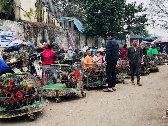 2 trường hợp nghi nhiễm cúm gia cầm sau nhiều năm dịch được khống chế trên người - Ảnh 1.