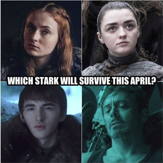 Từ Endgame sang Game of Thrones - Th&agrave;nh vi&ecirc;n nh&agrave; Stark n&agrave;o sẽ sống s&oacute;t qua được th&aacute;ng 4 đ&acirc;y? - Ảnh 1.